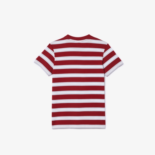 Kids’ Lacoste Stripe Print Cotton Jersey T-shirt